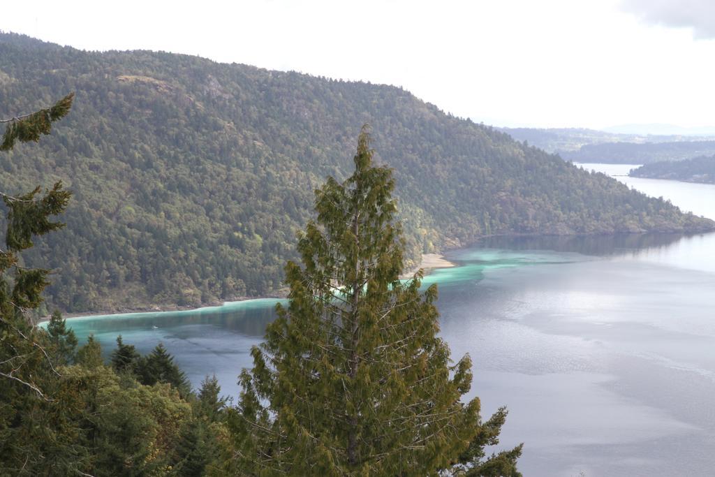 Moon Water Lodge Malahat Rom bilde