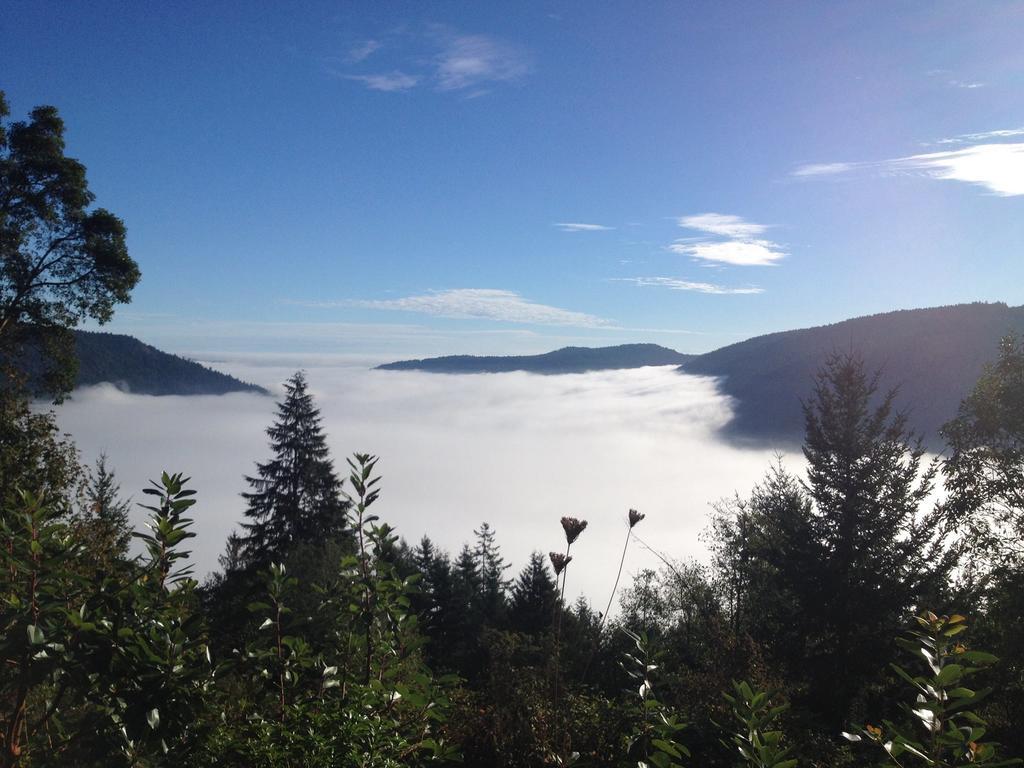 Moon Water Lodge Malahat Rom bilde